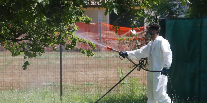 Misure per la prevenzione e il controllo delle malattie trasmette dalla zanzara tigre