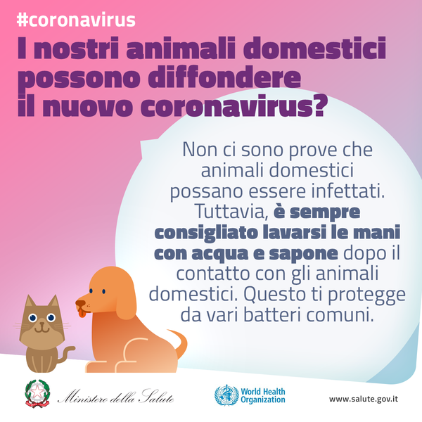Questa immagine ha l'attributo alt vuoto; il nome del file è galleryslider-6.png