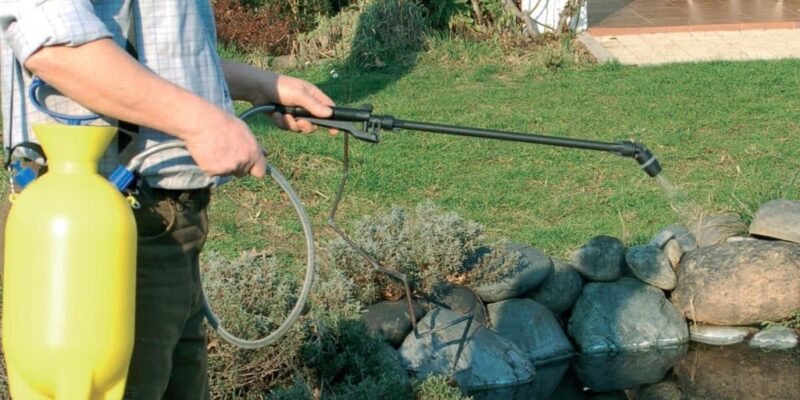 Misure per la prevenzione ed il controllo delle malattie trasmesse dalla zanzara tigre